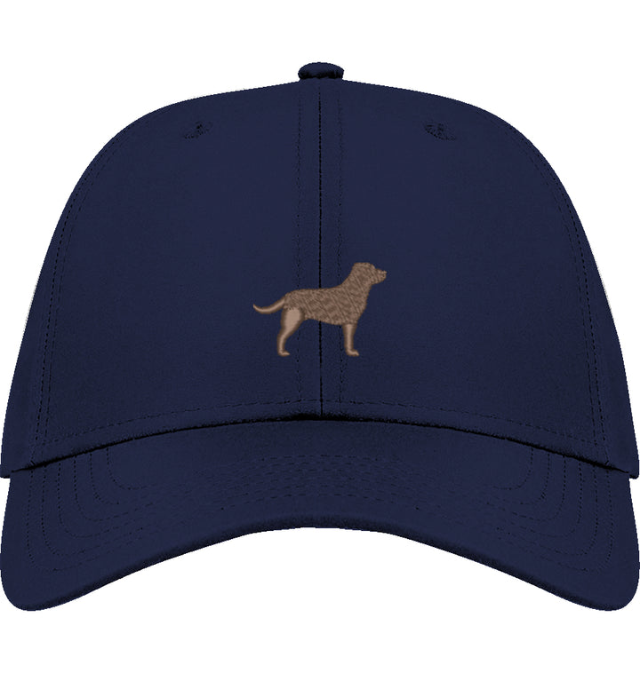 Cap Lab Love - Low Profile Cap