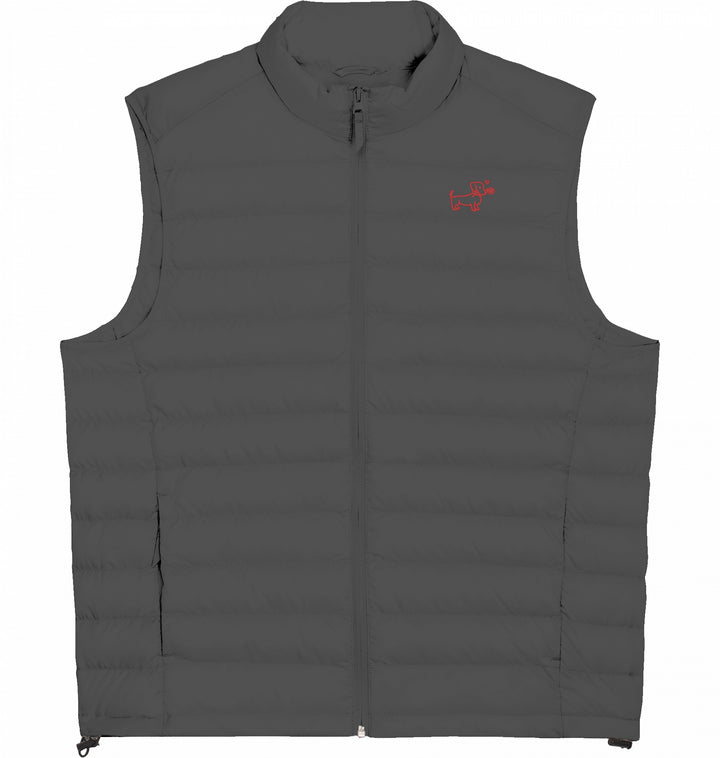 A Flower for you - Herren Daunenweste Organic