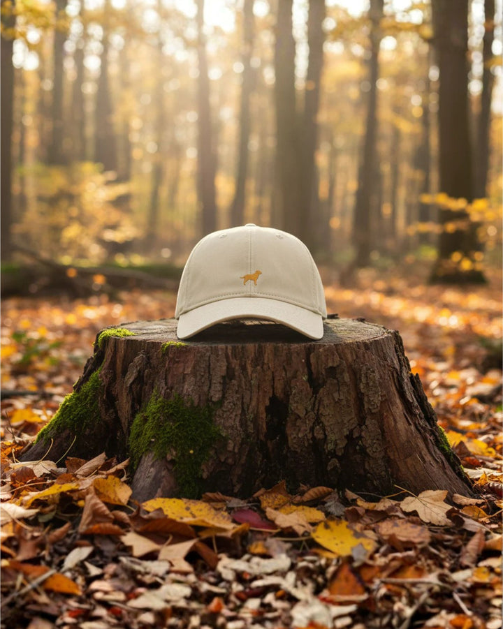 Labrador - Organic Cap